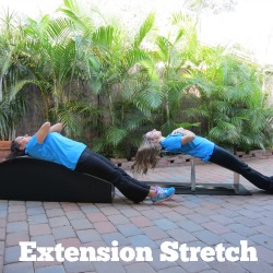 Extension Stretch | Ed's Flex Form